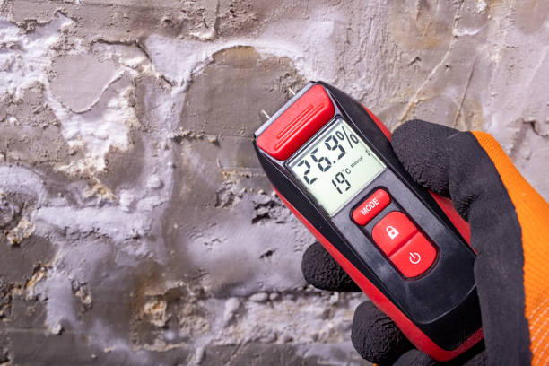 Best Crawl Space Mold Removal  in Williamstown, WV