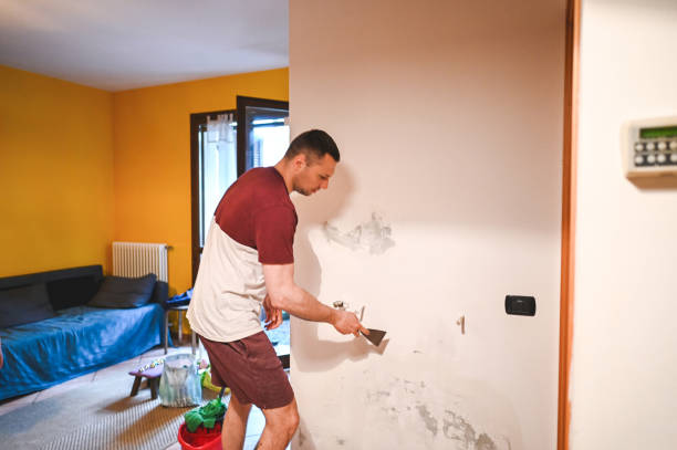 Mold Removal and Inspection in Williamstown, WV